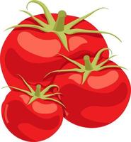 Red tomatos, illustration, vector on white background