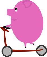 Pig on scooter, illustration, vector on white background.