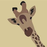 Giraffes head, illustration, vector on white background.