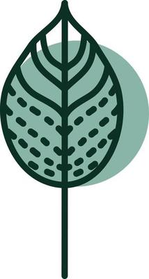 Green autumn leaf, illustration, vector, on a white background.