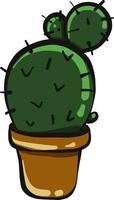 Cactus in a pot , illustration, vector on white background