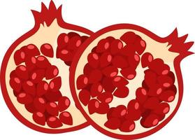 Fresh pomegranate ,illustration,vector on white background vector
