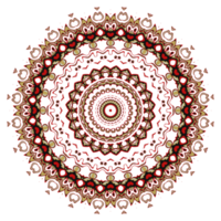 bloem mandala patroon ornament. png