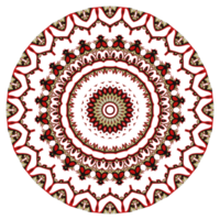 Blumen-Mandala-Muster-Ornament. png