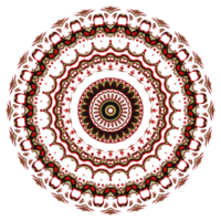 Flower mandala pattern ornament. png