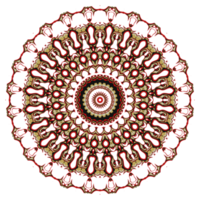 Flower mandala pattern ornament. png