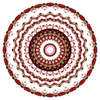 Flower mandala pattern ornament. png