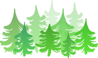 Silhouettes of spruce and pine. Image of coniferous trees on transparent background. png