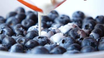 Close up of blueberries, pouring milk video
