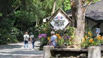 los visitantes del jardín nacional de orquídeas caminan hasta la entrada video