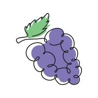 dibujo lineal de frutas de uvas vector