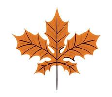 dry leaf autumn vector