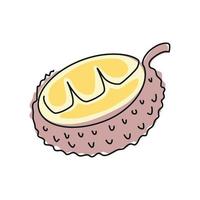 lychee fruit line drawing vector