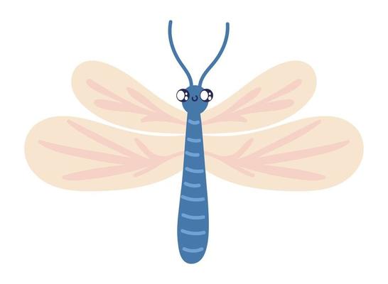 Cartoon Dragonfly Vector Art & Graphics 