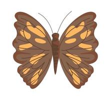 mariposa marrón plana vector