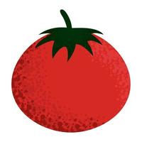 icono de tomate vegetal vector