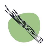 onion branch line drawing vector