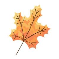 autumn dry leaf vector