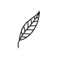 Doodle vector leaf clipart