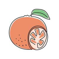 orange fruit line drawing vector