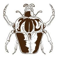 icono de insecto escarabajo vector