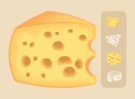 queso realista, conjunto de iconos vector