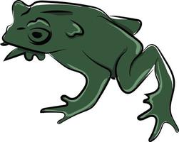 Green toad, illustration, vector on white background.