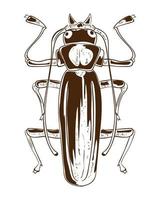 bug isolated icon vector