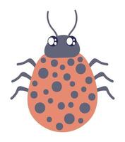 ladybird bug cartoon vector