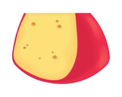 slice dutch cheese realistic vector