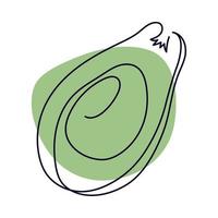 avocado line drawing vector