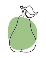 pear line drawing vector