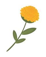 flower decoration icon vector