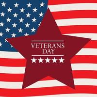 flag USA veterans day vector