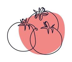 tomatoes line drawing vector