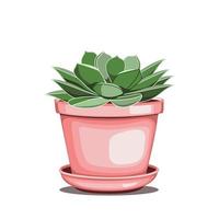 Echeveria succulent in ceramic pot in flat technique vector