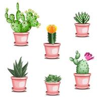 Set of cactuses and succulents in ceramic pots in flat technique vector