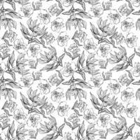 Seamless floral pattern with alstroemeria flowers and leaves in doodle technique vector