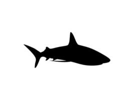 Shark Silhouette for Logo, Pictogram, Website, Art Illustration, Infographic, or Graphic Design Element. Vector Illustration