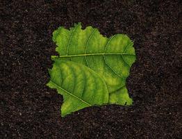 mapa de costa de marfil hecho de hojas verdes sobre el concepto de ecología de fondo del suelo foto