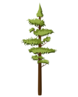 Tall Pine tree in realistick style. Evergreen forest coniferous spruce tree. Colorful PNG illustration.