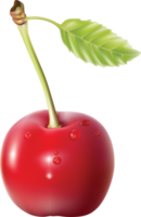 cereza roja con hoja sobre un fondo transparente png