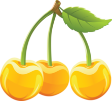 Yellow cherry with leaf on a transparent background png