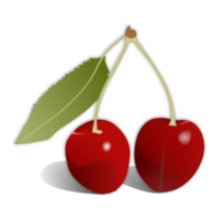 Red cherry with leaf on a transparent background png