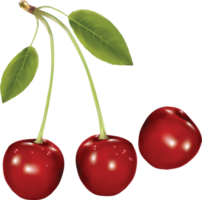 rosso ciliegia con foglia su un' trasparente sfondo png