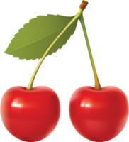 röd körsbär med blad på en transparent bakgrund png