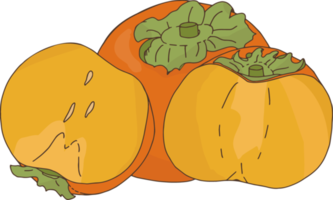 caqui naranja. fruta de otoño png