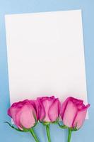 tres rosas rosadas con una hoja blanca de papel para texto sobre fondo azul. feriado, 8 de marzo, cumpleaños, día internacional de la mujer, de la madre y de san valentín. copie el espacio foto