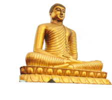 statue dorée de bouddha. png