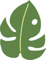 boho monstera leaf frihandsritning platt design. png